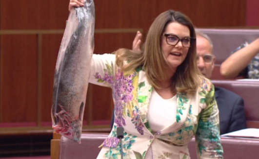 Sen Sarah Hanson-Young brandishes a salmon in the Senate