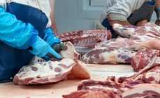 Eminent scientists hit out at 'simplistic' war on meat