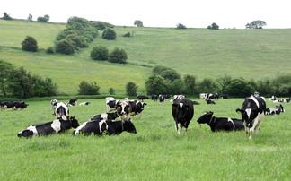 Scotland bucks the trend as organic land declines