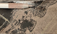 Core from 391m showing the footwall contact, with thermal erosion to the left and massive nickel sulphide to the right. 