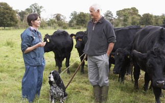 Veterinary sector faces retention crisis