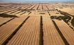 Mallee jet fuel research to benefit environment and growers