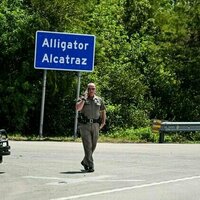 Understanding key terms swirling around Alligator Alcatraz and immigration enforcement in the US