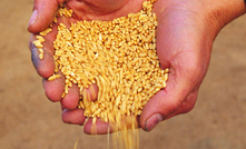  South Australia has a blueprint for its grain industry which is open for public consultation.