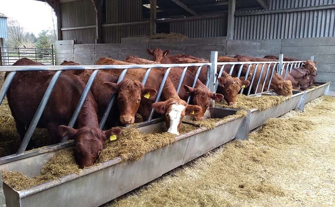 How James Hutton Institute's hill farm in Aberdeenshire minimises losses in the field and clamp