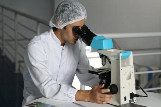 Nervous system plays key role in severe allergy shock: Study