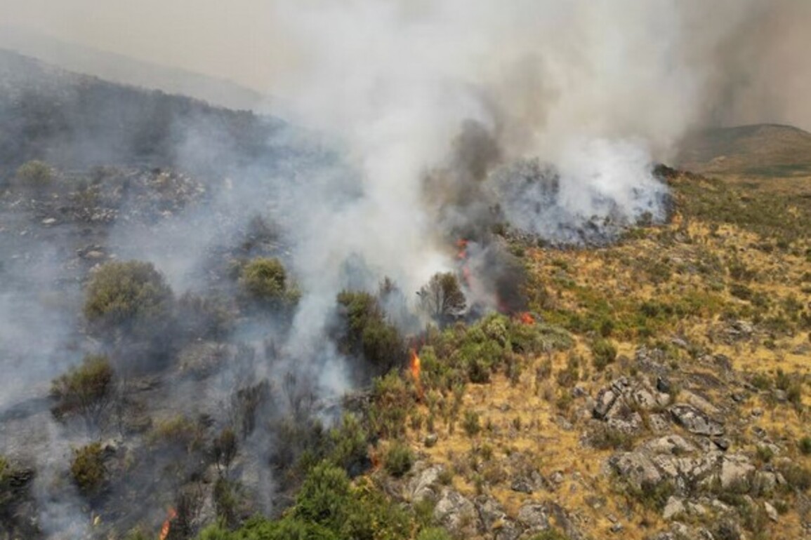 Portugal: Teen admits to starting several wildfires