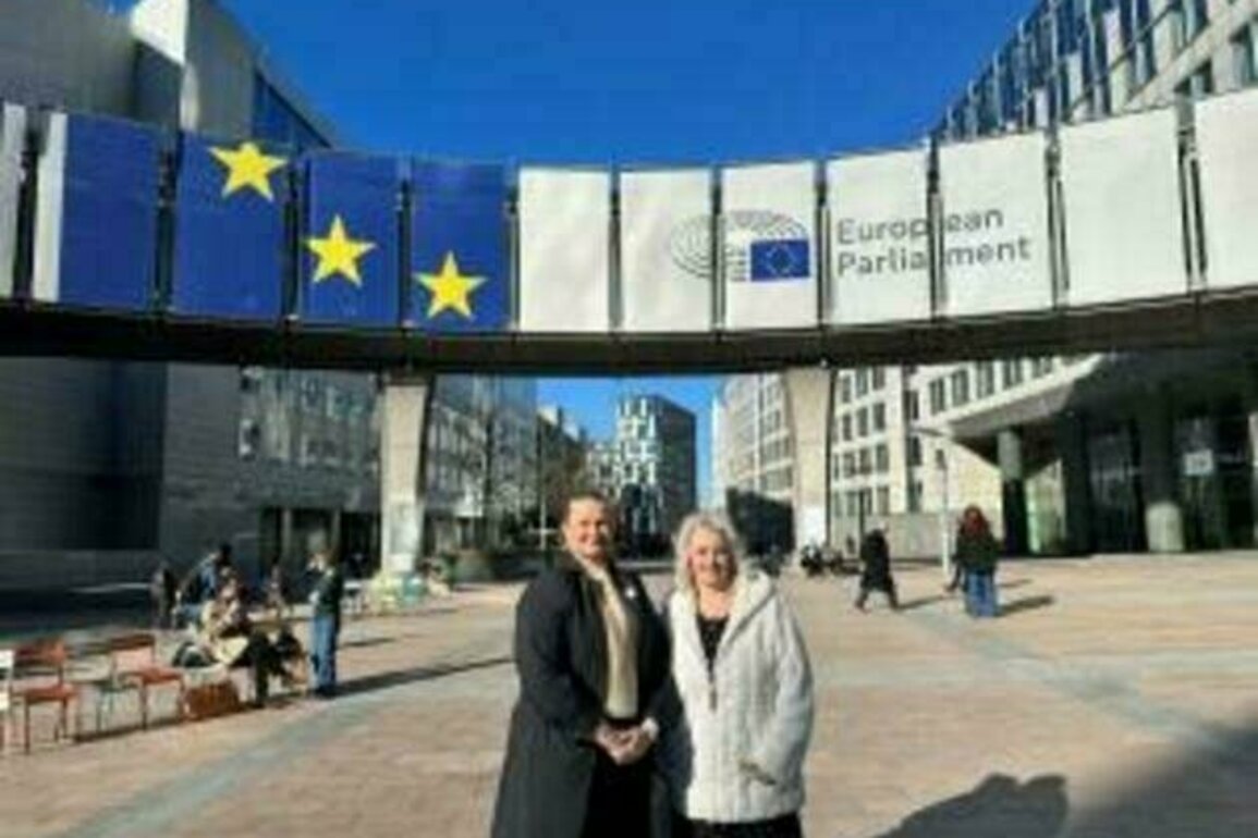 Ministers welcome guests to 'Ulster Fry for St Patrick's Day' in Brussels