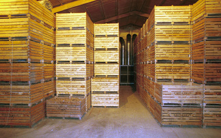 Arable Farming special: New data reveals the crop safety of potato sprout suppressants