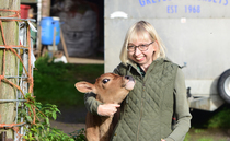 In your field: Helen Stanier - "Fresh milk often provokes memories about growing up on, or near, a farm"