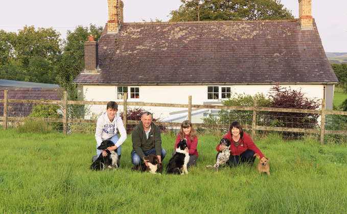 Demelza Fish-Jenkins and her family took part in the Royal Countryside Fund's resilience scheme to get the farm back on its feet