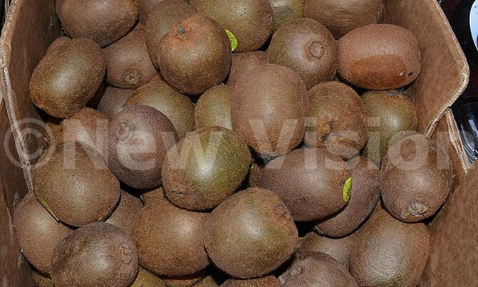 Kiwifruit: It may be small but . . . Kiwifruit: It may be small but . . .