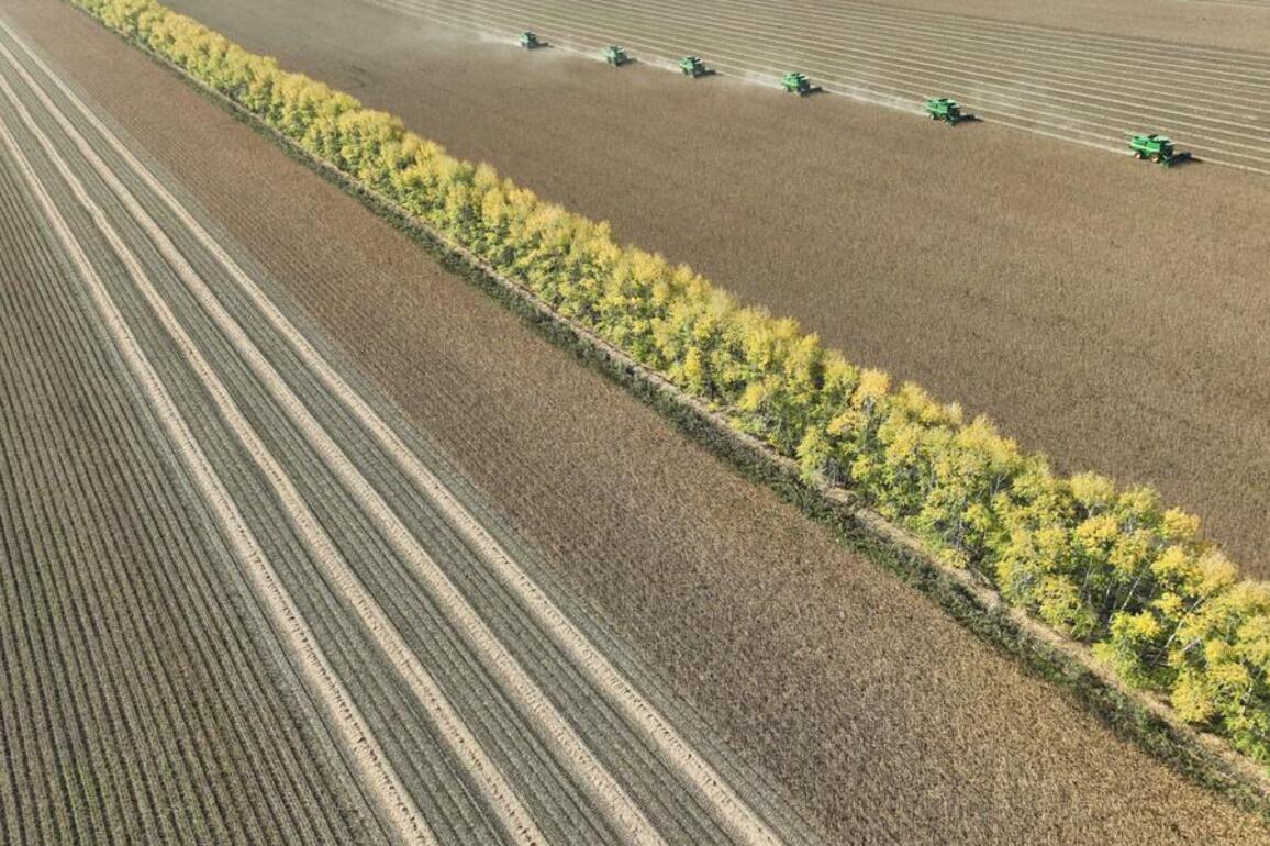 Update: China issues 5-year plan for agricultural, rural modernization
