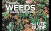  The GRDC has published a new ute guide for weeds. Image courtesy GRDC.