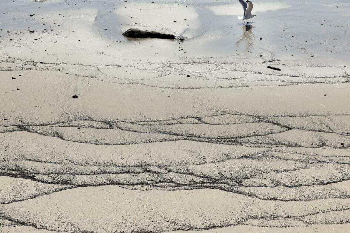 Ashy sediment sits on L.A. beaches after fires. What you need to know