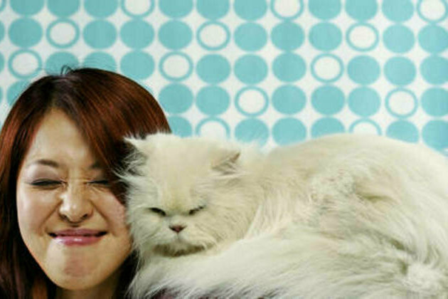Russian researchers develop breakthrough cat allergy vaccine