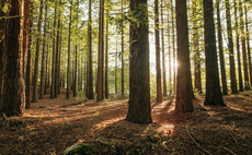 Big Nature Impact Fund raises £65m for nature restoration across England