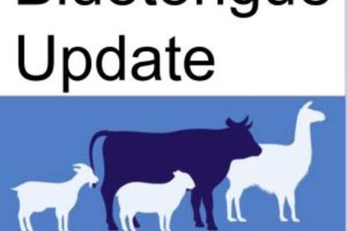 Changes to Bluetongue Movement Restrictions