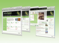 Timber training - online