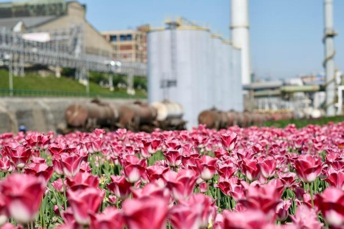 Feature: China's green transition experience helps Serbia build "green mines"