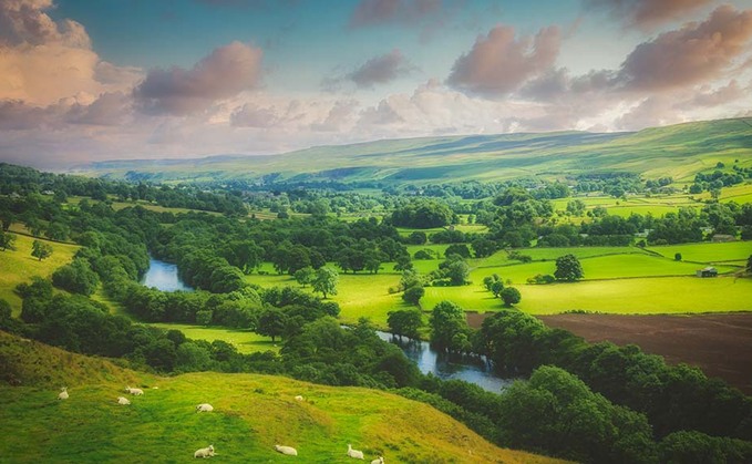 From the editor: Back British farmers to keep the nation fed