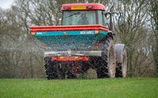 Early nitrogen dose recommended to maximise yields