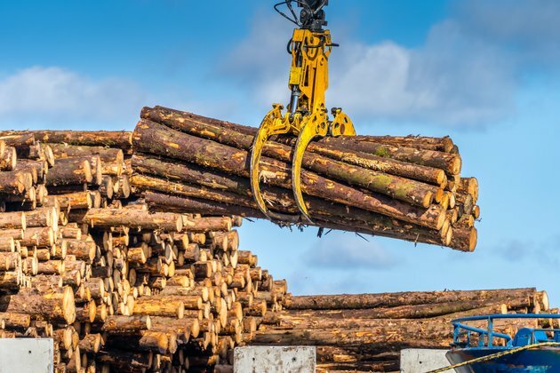 Global supply chains are devouring what&#039;s left of Earth&#039;s unspoilt forests