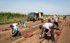 MAC report's 'fixation on skills' could hurt food and farming sector