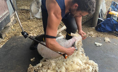 British Wool relaunches young farmer training offer