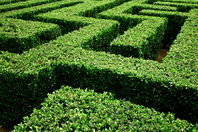 AI ethics and regulation: How investors can navigate the maze