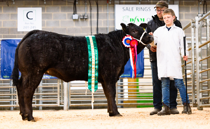 Haltered champion from Luke Bell-Percy