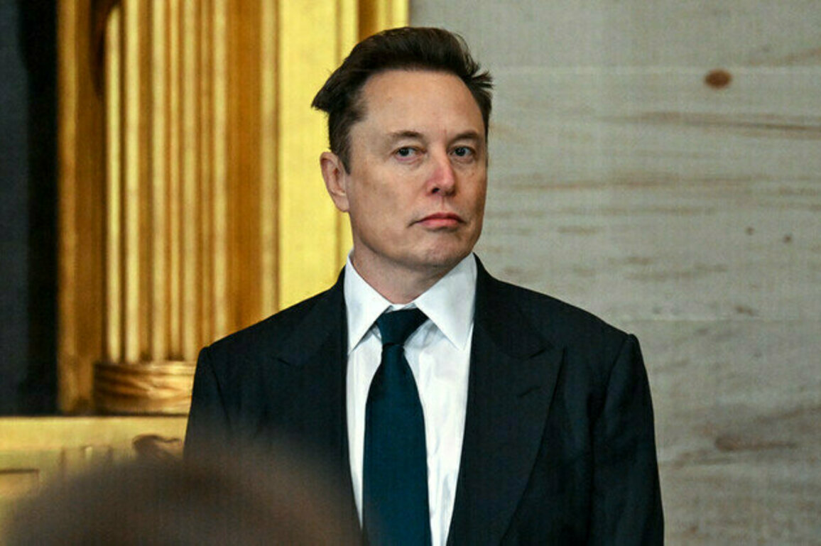 Musk reacts to Zelenskys Ukrainians dont want elections claim