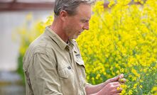 Dr Steve Marcroft said to prevent fungicide resistance getting worse, growers should only apply fungicides according to label recommendations and only when disease pressure is high and there is a clear risk of yield loss.