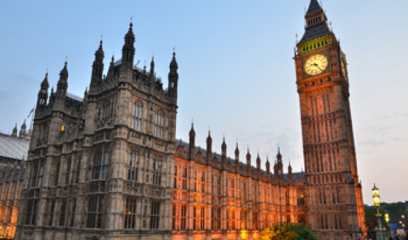 Parliament © Cristian Gusa