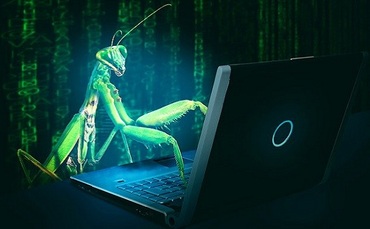 Microsoft Office zero-day flaw 'Follina' uncovered by researchers - Vimarsana News