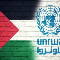 One in every five children in Gaza suffers from malnutrition: UNRWA