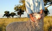 2011 Wool Producer of the year