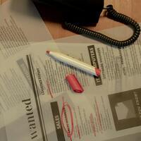 US labor market steady but hiring cools as uncertainty grows
