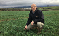 Crop walk with Simon Nelson: Spring crops are decided in the main