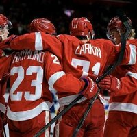 Red Wings, Bruins tangle after defeats