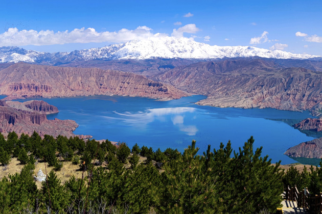 Study reveals impact of plant phenology changes on Qinghai-Tibet Plateau