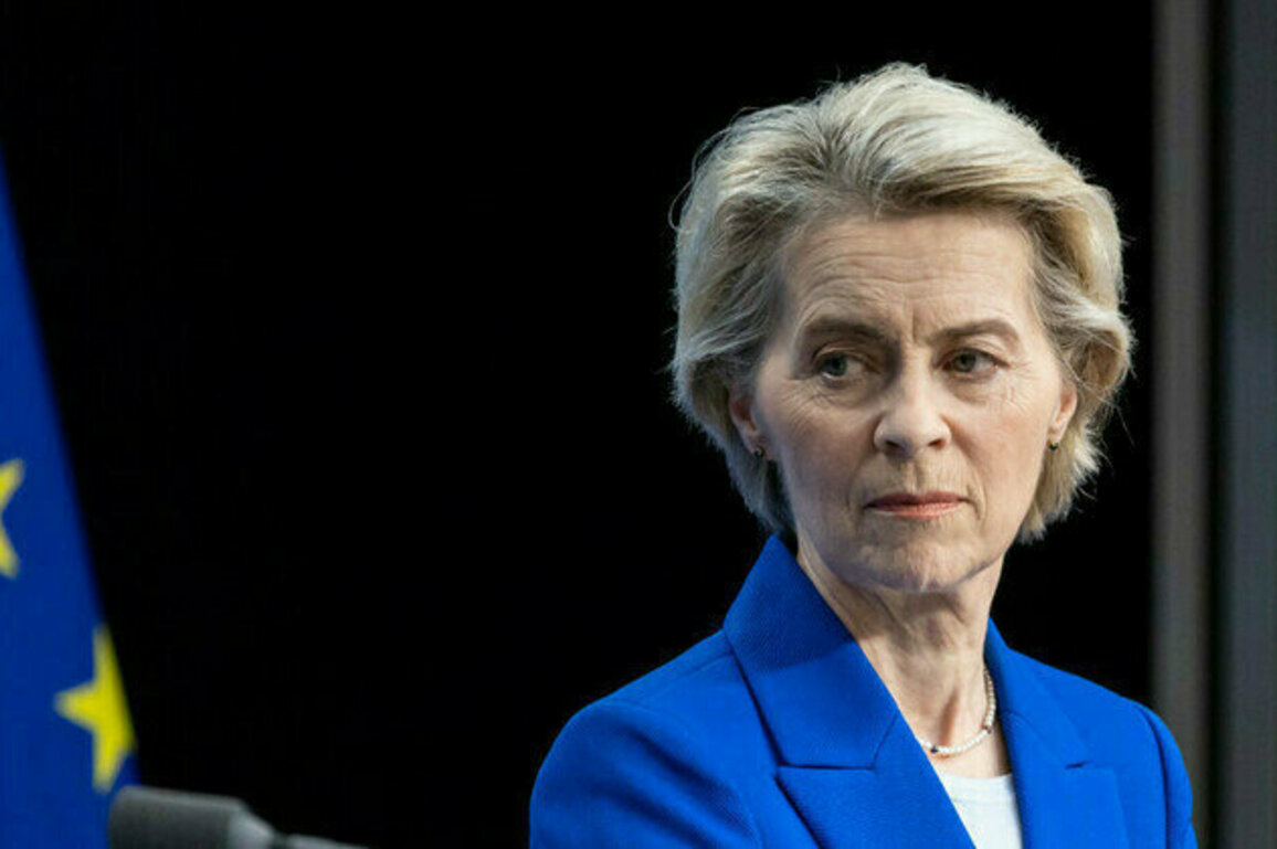 EU states fed up with von der Leyen  Politico