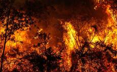 French farmers harvest by night to avoid fires as heatwave hits Europe