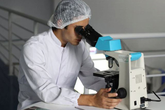 Study shows why women tend to have faster heartbeats, men more irregular rhythms