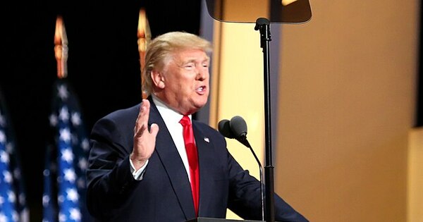 US needs aluminium, Trump admits