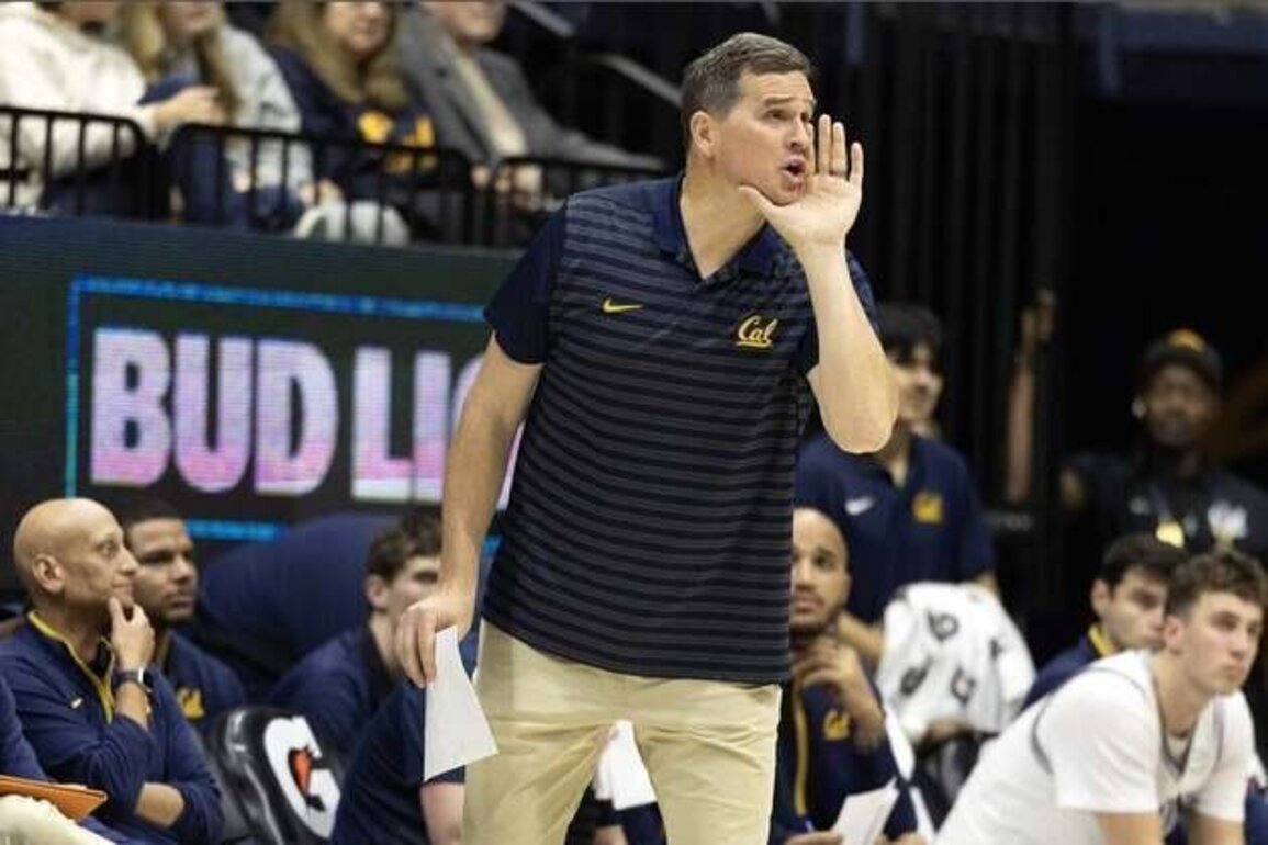 Cal hopes to make Northwestern State its seventh consecutive victim