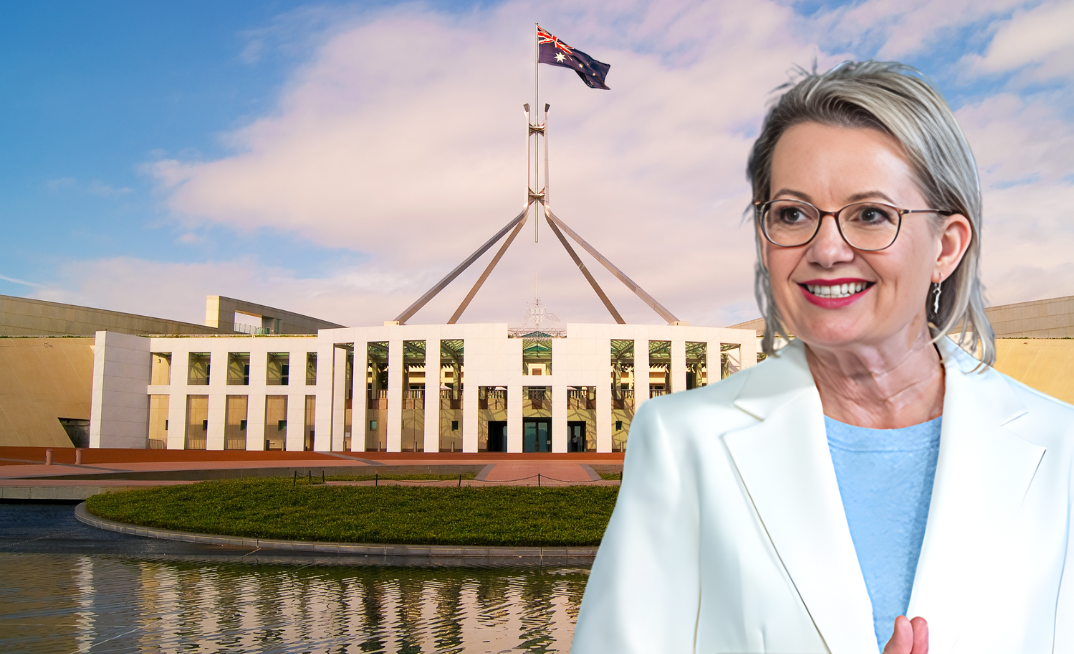 Liberal Party to unveil net zero policy