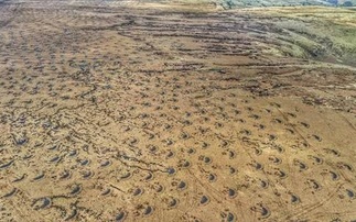 How a new peatland project is aiming to unlock a more resilient future