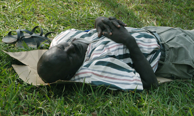 Census: Unemployment biting hard Census: Unemployment biting hard