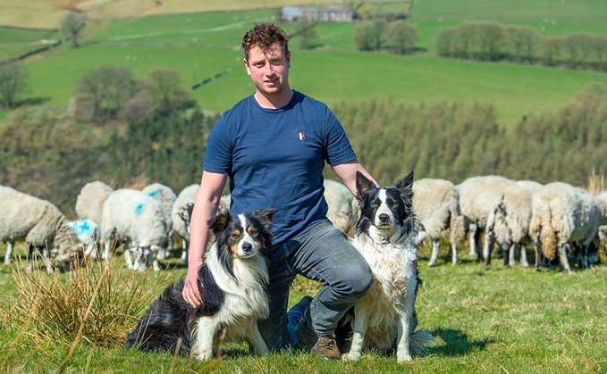 SHEEP SPECIAL: Farming with water quality in mind